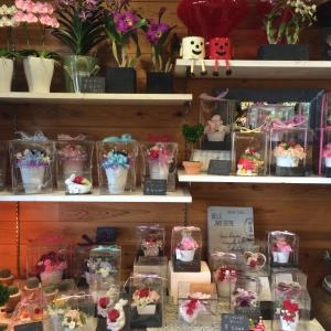 プリザーブドフラワーの贈り物｜「花工房　浪漫」　（愛知県小牧市の花キューピット加盟店 花屋）のブログ