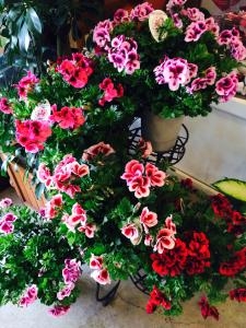 母の日が近づいてきました。｜「花工房　浪漫」　（愛知県小牧市の花キューピット加盟店 花屋）のブログ