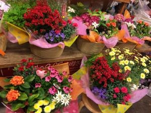 週末は母の日ですよ～！！｜「花工房　浪漫」　（愛知県小牧市の花キューピット加盟店 花屋）のブログ
