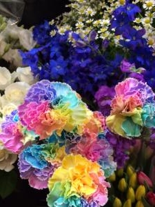 綺麗なレインボーカーネーションが入荷しました。｜「花工房　浪漫」　（愛知県小牧市の花キューピット加盟店 花屋）のブログ
