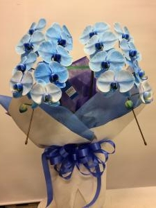 青い胡蝶蘭は綺麗です。｜「花工房　浪漫」　（愛知県小牧市の花キューピット加盟店 花屋）のブログ