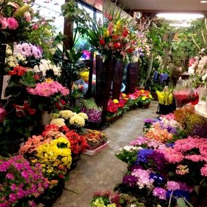 お店の中はお花がいっぱい｜「花工房　浪漫」　（愛知県小牧市の花キューピット加盟店 花屋）のブログ